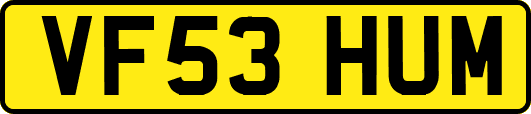 VF53HUM