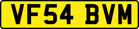 VF54BVM