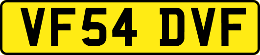 VF54DVF
