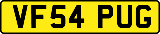 VF54PUG