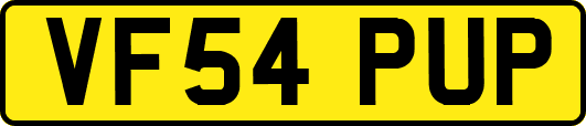 VF54PUP