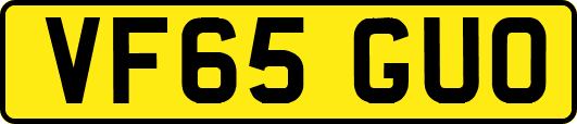 VF65GUO