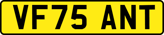 VF75ANT