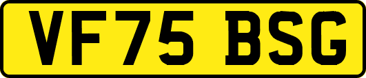 VF75BSG