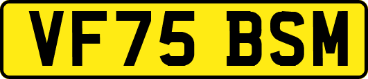 VF75BSM