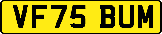 VF75BUM