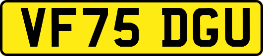 VF75DGU