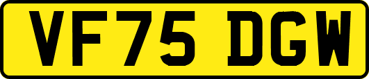 VF75DGW