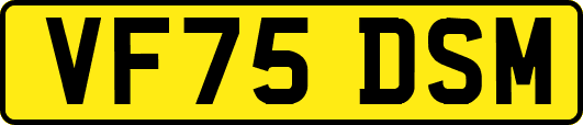 VF75DSM