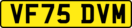VF75DVM