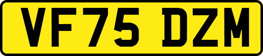 VF75DZM