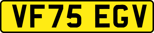 VF75EGV