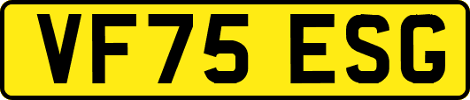VF75ESG