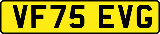 VF75EVG