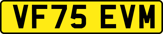 VF75EVM