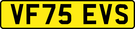 VF75EVS