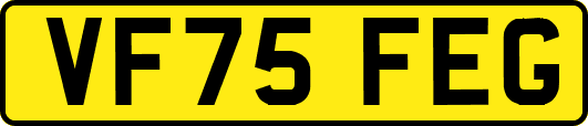 VF75FEG
