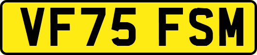 VF75FSM