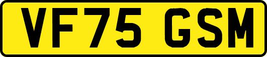 VF75GSM