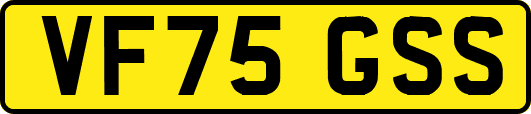 VF75GSS