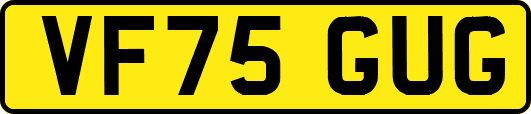 VF75GUG