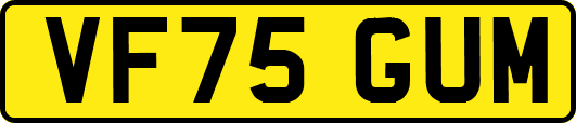 VF75GUM