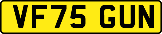 VF75GUN
