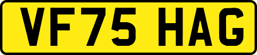 VF75HAG