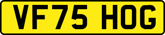 VF75HOG