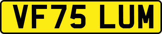 VF75LUM