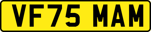 VF75MAM