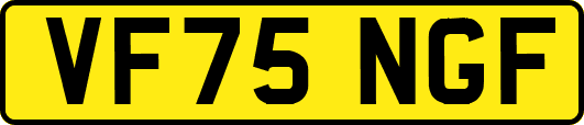 VF75NGF