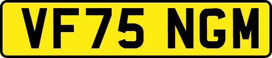 VF75NGM
