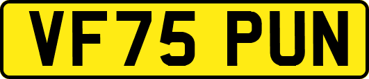 VF75PUN