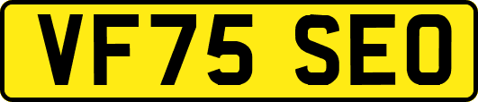 VF75SEO