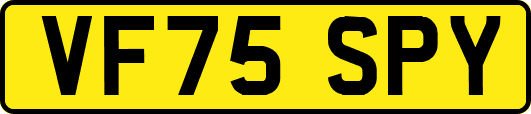 VF75SPY