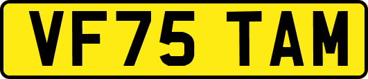 VF75TAM