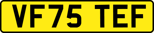 VF75TEF