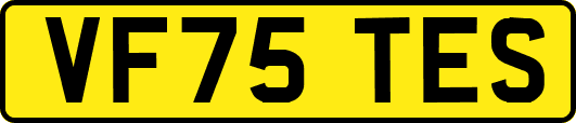 VF75TES