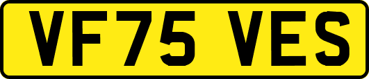 VF75VES