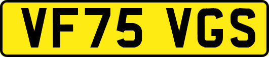 VF75VGS