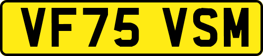VF75VSM
