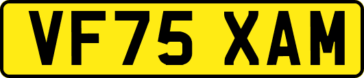 VF75XAM