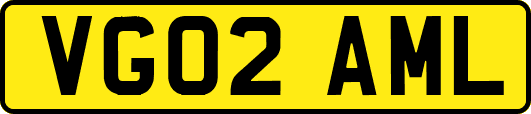 VG02AML
