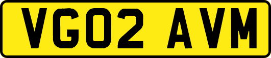 VG02AVM