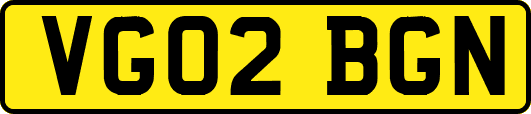 VG02BGN