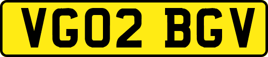 VG02BGV