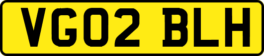 VG02BLH