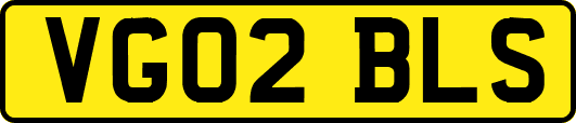 VG02BLS