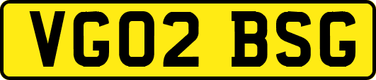 VG02BSG